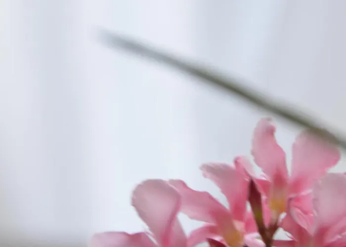 아파트 Maghetti - Modernized Flat In Historic Palazzo In The Center Of